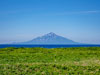 サロベツ原野から撮影した利尻島
